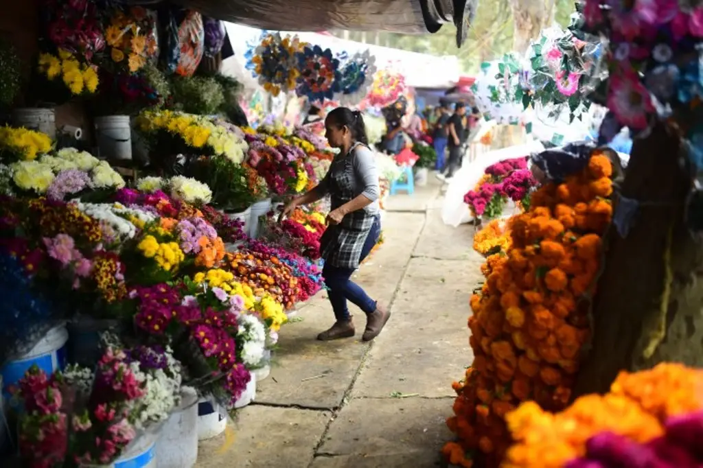 Imagen Visita a panteones detona la economía en Xalapa, Veracruz 