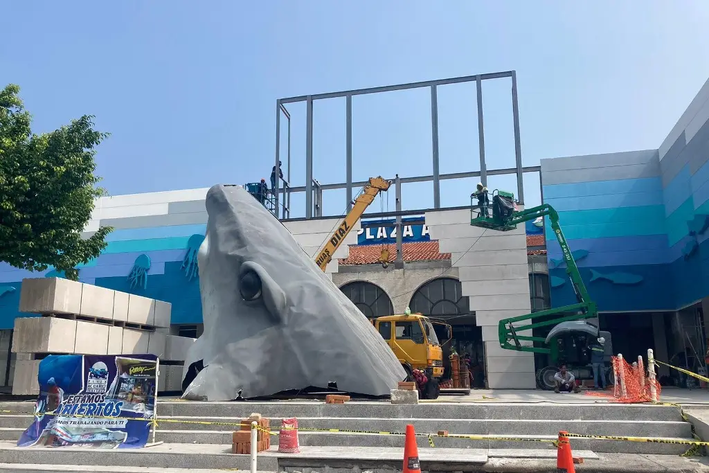 Imagen Inicia colocación de cabeza gigante  de tiburón en Acuario de Veracruz (Fotos)