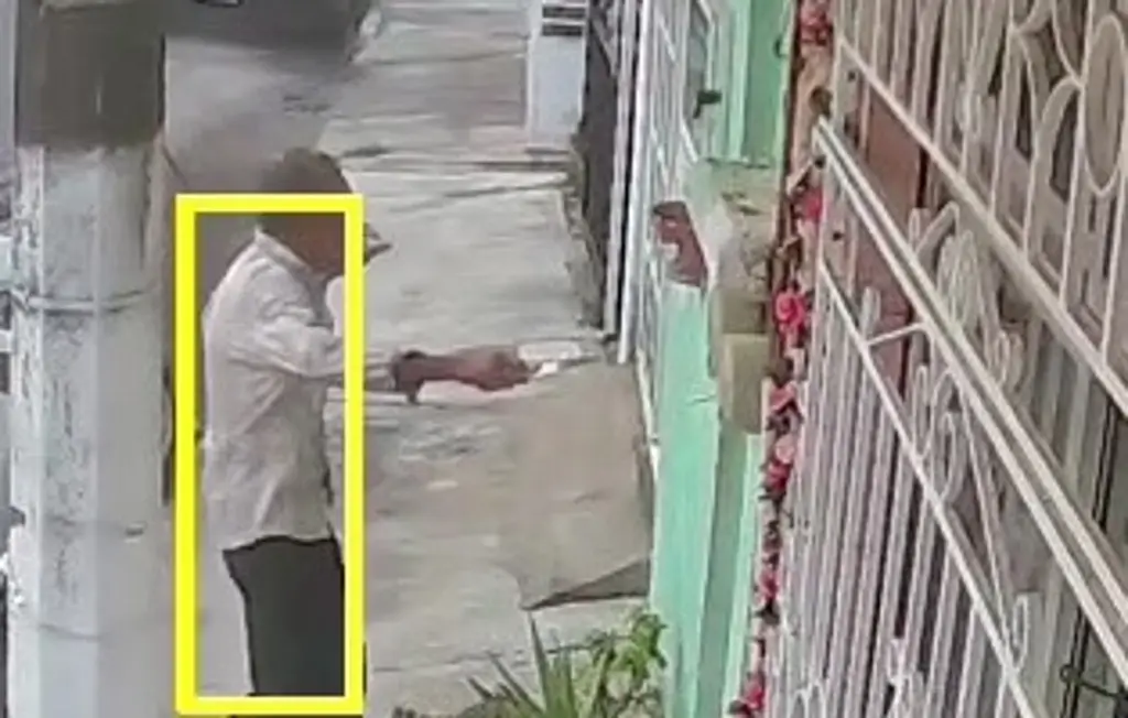 Imagen Así escapó con su perro de hombre armado en fraccionamiento de Veracruz (+Video)