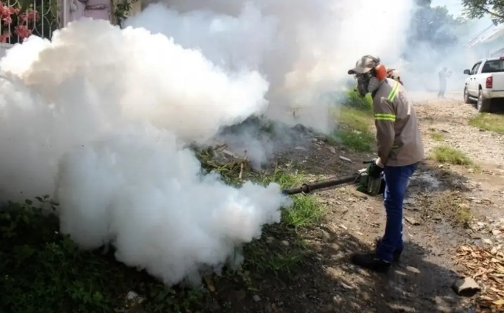 Imagen Comité de vigilancia investiga muertes por dengue en Veracruz