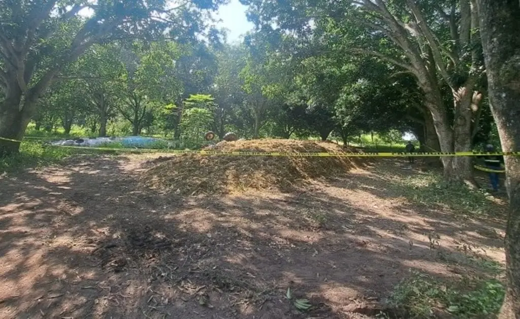 Imagen Campesino muere aplastado por su propio tractor 