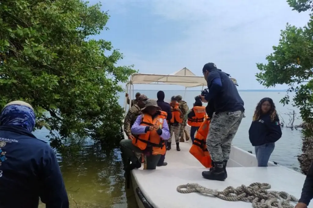 Imagen Reanudan búsqueda de desaparecidos en el estado de Veracruz 