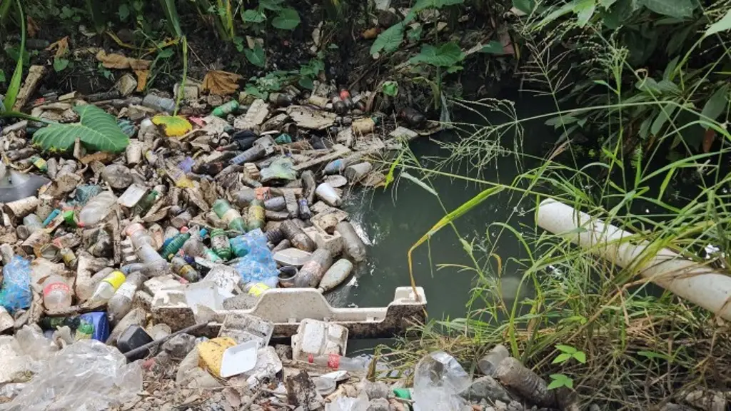 Imagen Inundados de basura al norte de Veracruz 