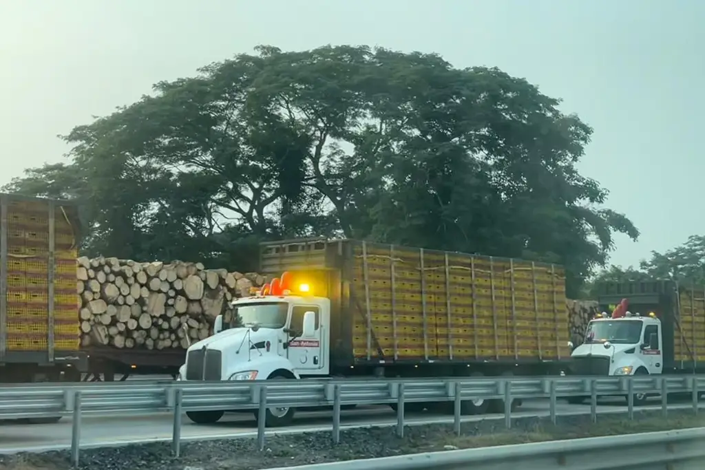 Imagen Hay cierre total de circulación en autopista de Veracruz