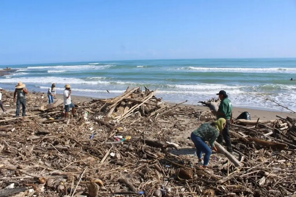 Imagen Palizada y desechos sólidos afectan playas al norte de Veracruz 