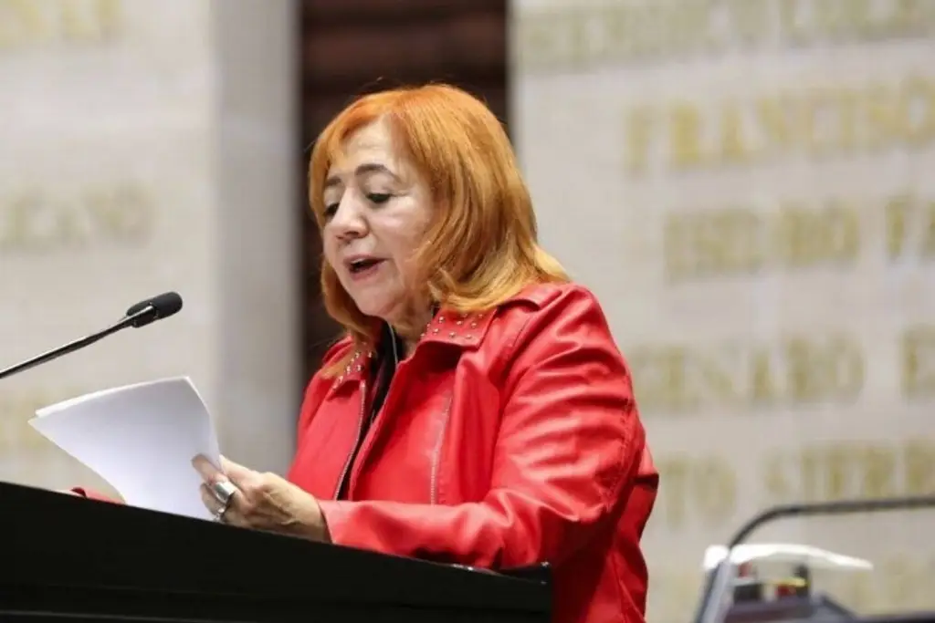 Imagen Con reelección de Rosario Piedra, ya no habrá una defensa plena de Derechos Humanos: Analista