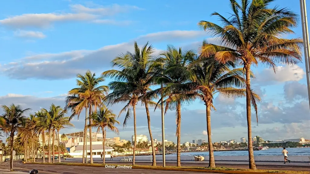 Imagen ¿Vas a salir? Checa el pronóstico del tiempo para Veracruz