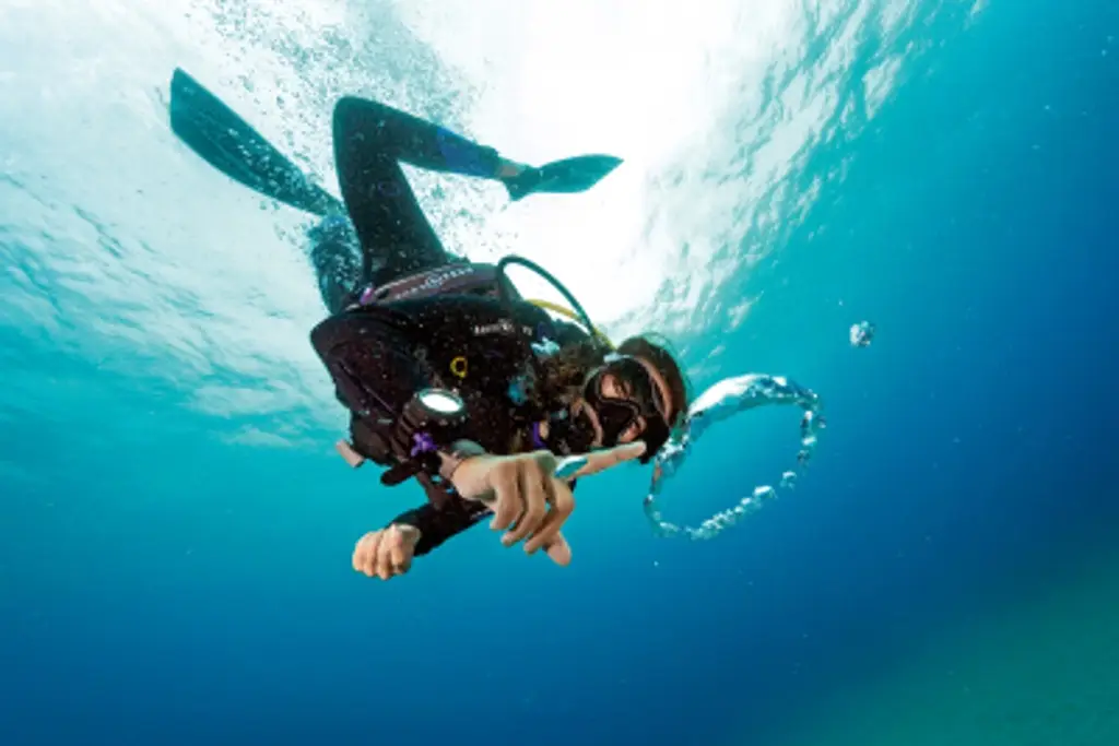 Imagen Turismo de buceo en Islas Galápagos está bajo la lupa de los científicos