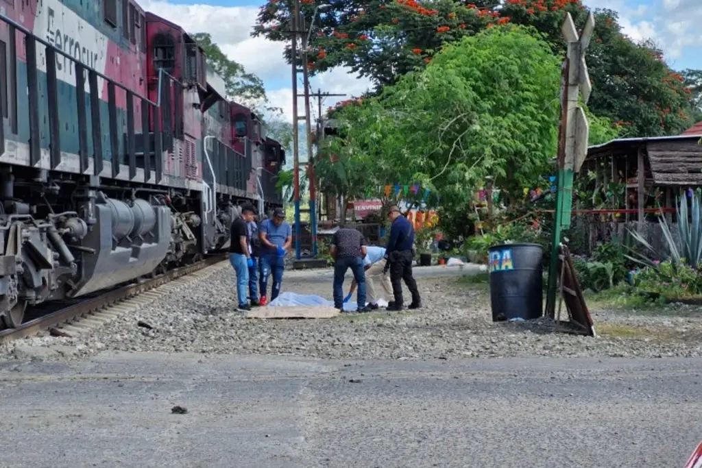 Imagen Mujer pierde la vida al ser atropellada por un tren en Atoyac