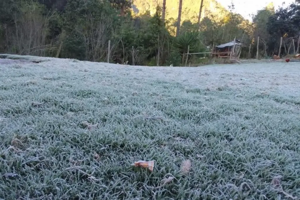 Imagen Se registra primera helada en faldas del Pico de Orizaba