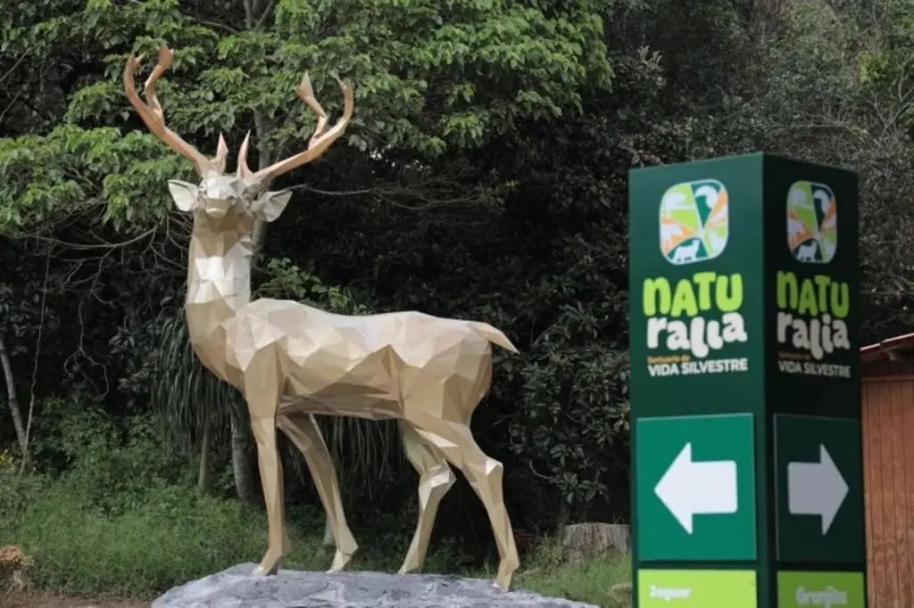 Imagen Este domingo se inaugura el Parque Naturalia en Xalapa, Veracruz; checa los precios