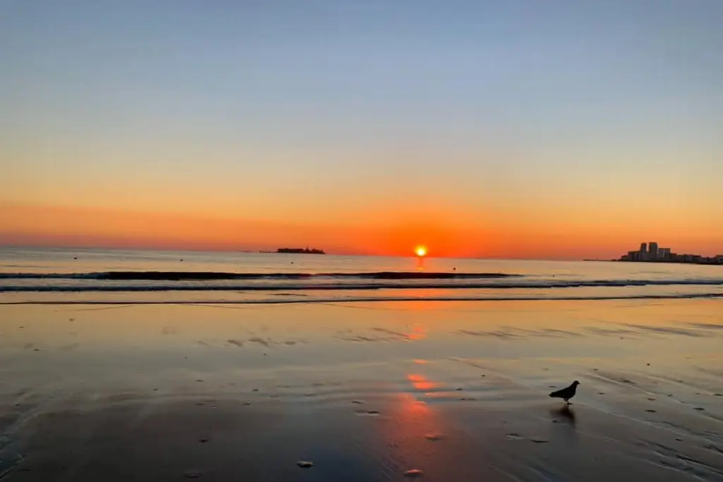 Imagen ¿Cuánto marcó tu aplicación del tiempo al amanecer de este domingo?