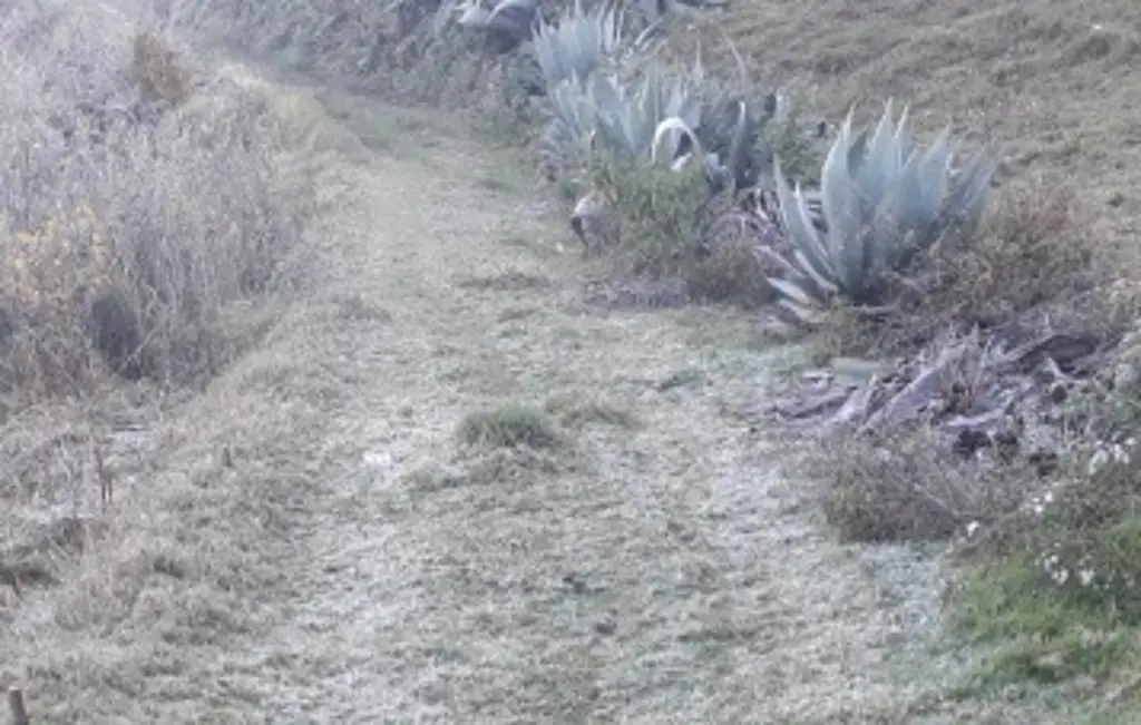 Imagen ¡Qué frío! Este municipio de Veracruz alcanza temperatura mínima de -2 Grados Celsius 