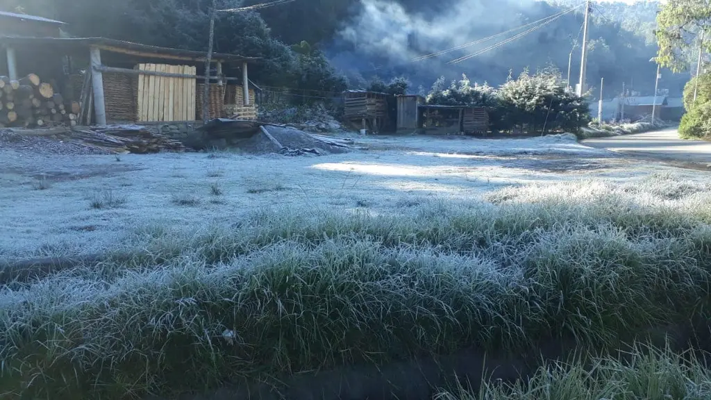 Imagen Siguen las heladas en Veracruz; esta fue la temperatura mínima registrada