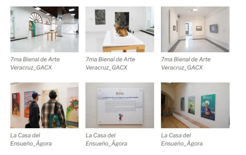 Imagen ¡Entrada gratis! Invitan a visitar las exposiciones que se encuentran en Xalapa y Coatepec