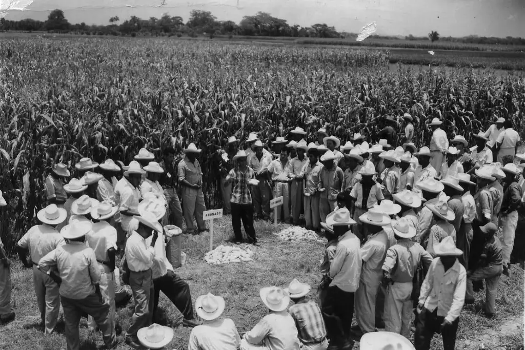 Imagen Campo Experimental Cotaxtla, en Veracruz, cumple 70 años