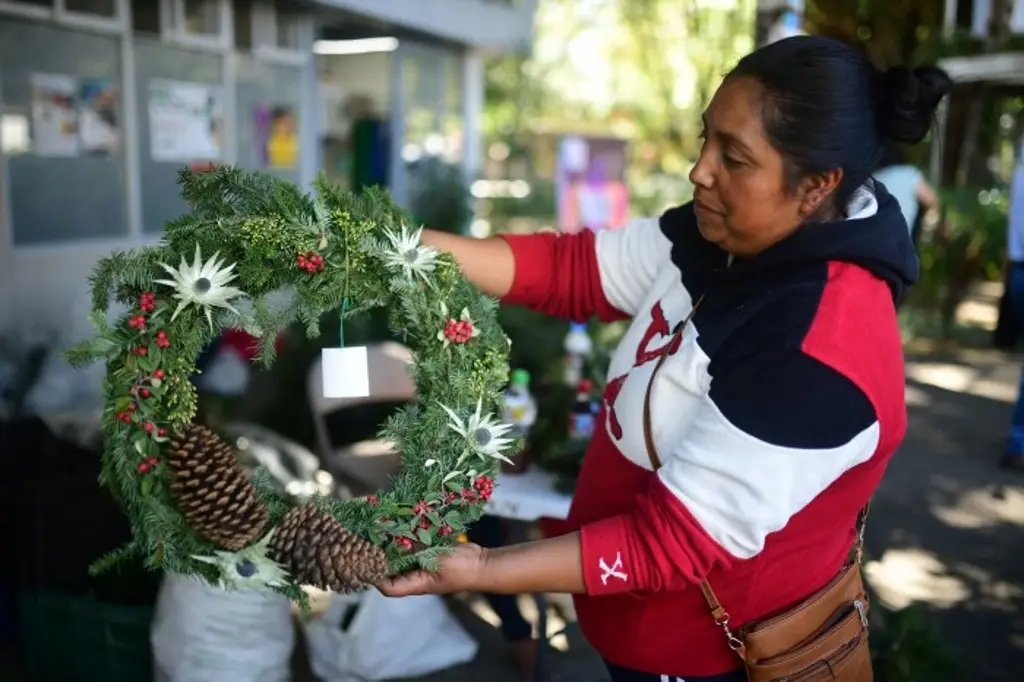 Imagen Comité de mujeres venden productos navideños que ayudan a conservar sus bosques