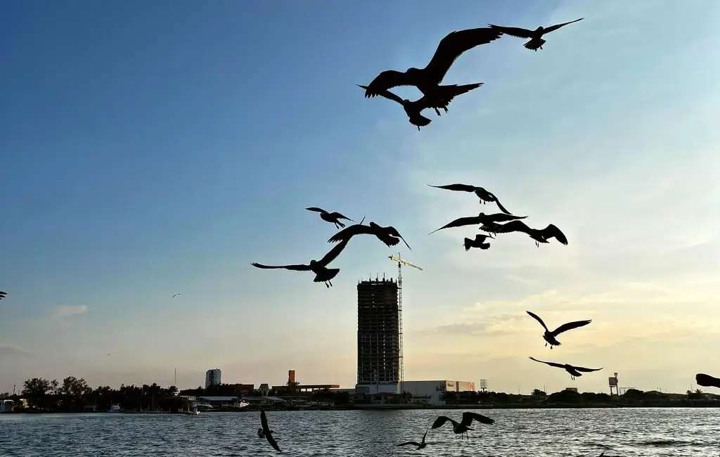 Imagen ¿Cuál sería la temperatura máxima este jueves en Veracruz - Boca del Río?