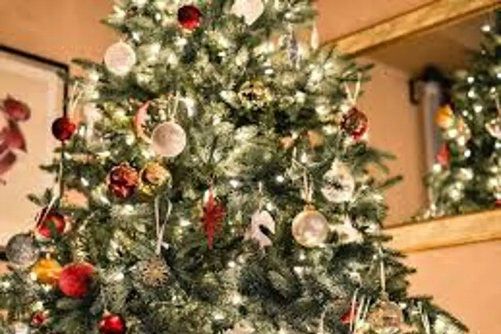 Imagen Vacaciones de Navidad inician en esta fecha, según SEP