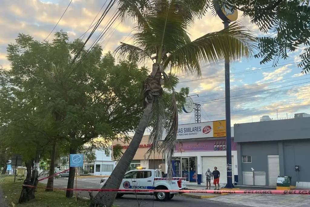 Imagen Conato de incendio por caída de cables en Las Vegas