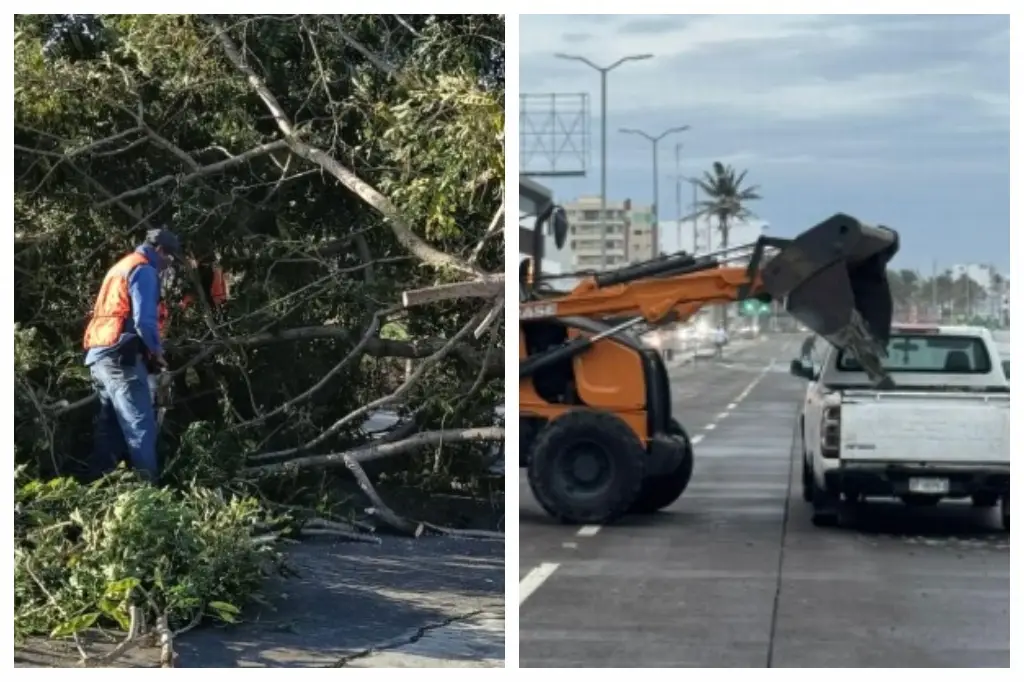 Imagen Limpian bulevar en Boca del Río y atienden reportes en Veracruz por evento de norte 