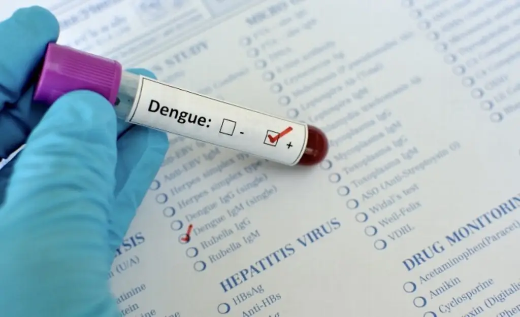 Imagen Aumento de casos de dengue en Veracruz está relacionado con la alta humedad: UV