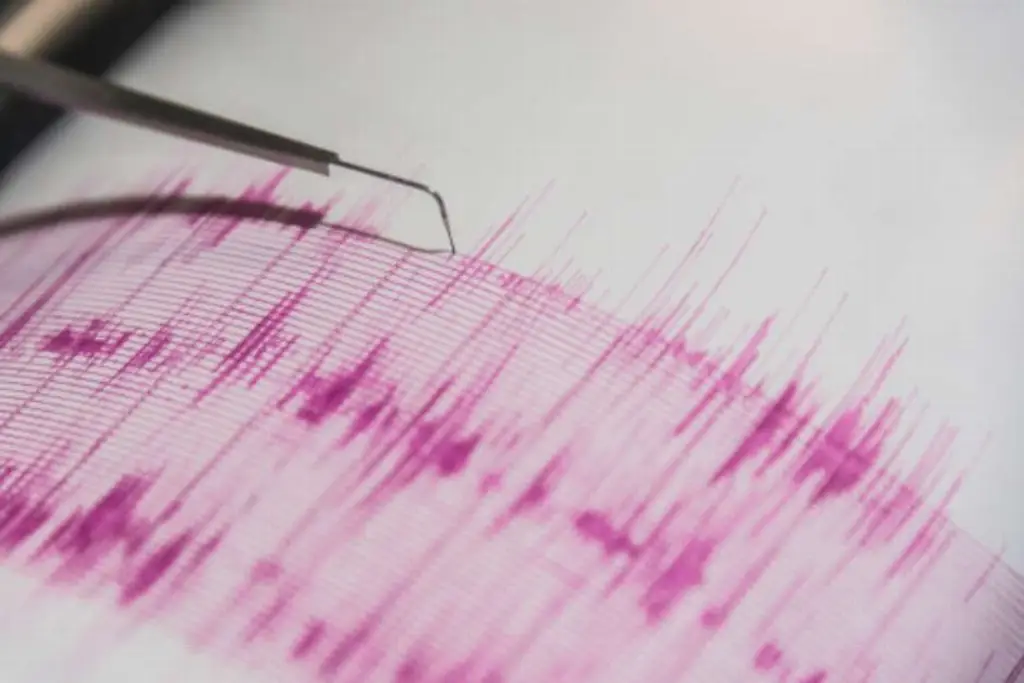 Imagen Un terremoto de magnitud 7.3 sacude las aguas de Vanuatu