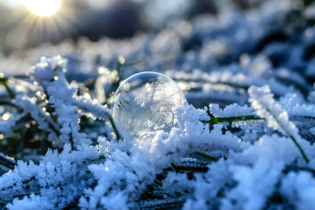 Imagen Adiós Otoño... ¿Cuándo será el solsticio de Invierno?