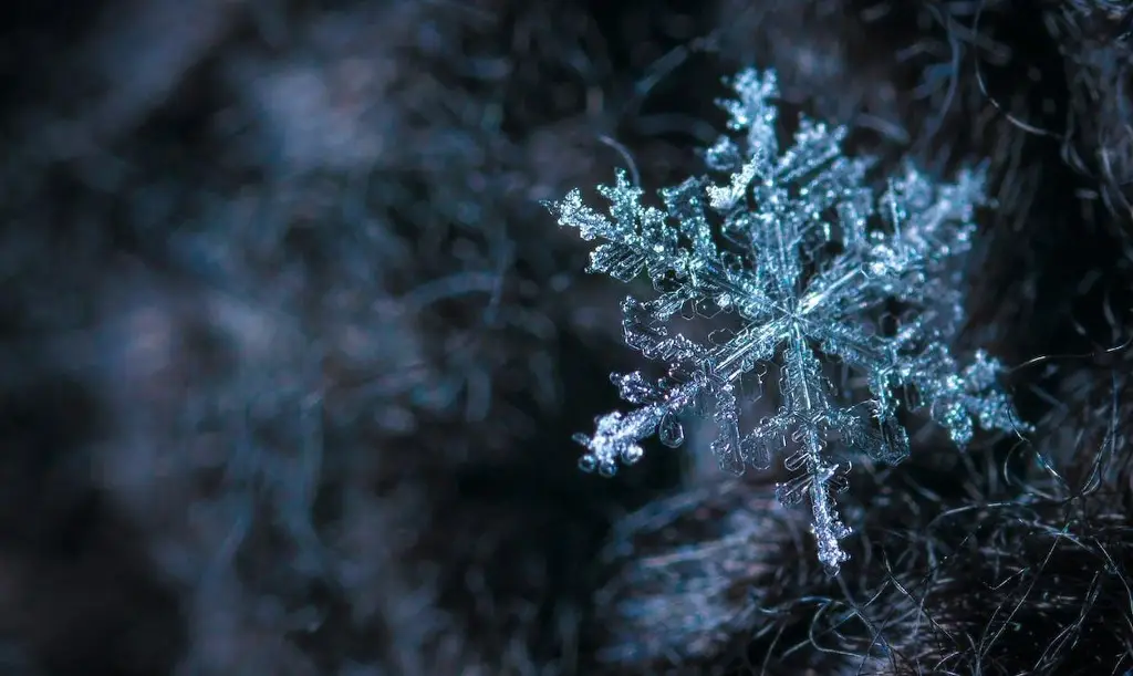 Imagen El Otoño termina este sábado... ¿A qué hora ocurrirá el Solsticio de Invierno?