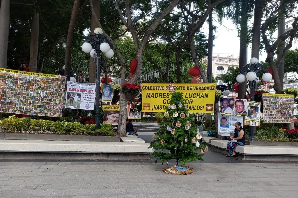 Imagen Colectivo Solecito de Veracruz coloca árbol de Navidad con fotos de desaparecidos