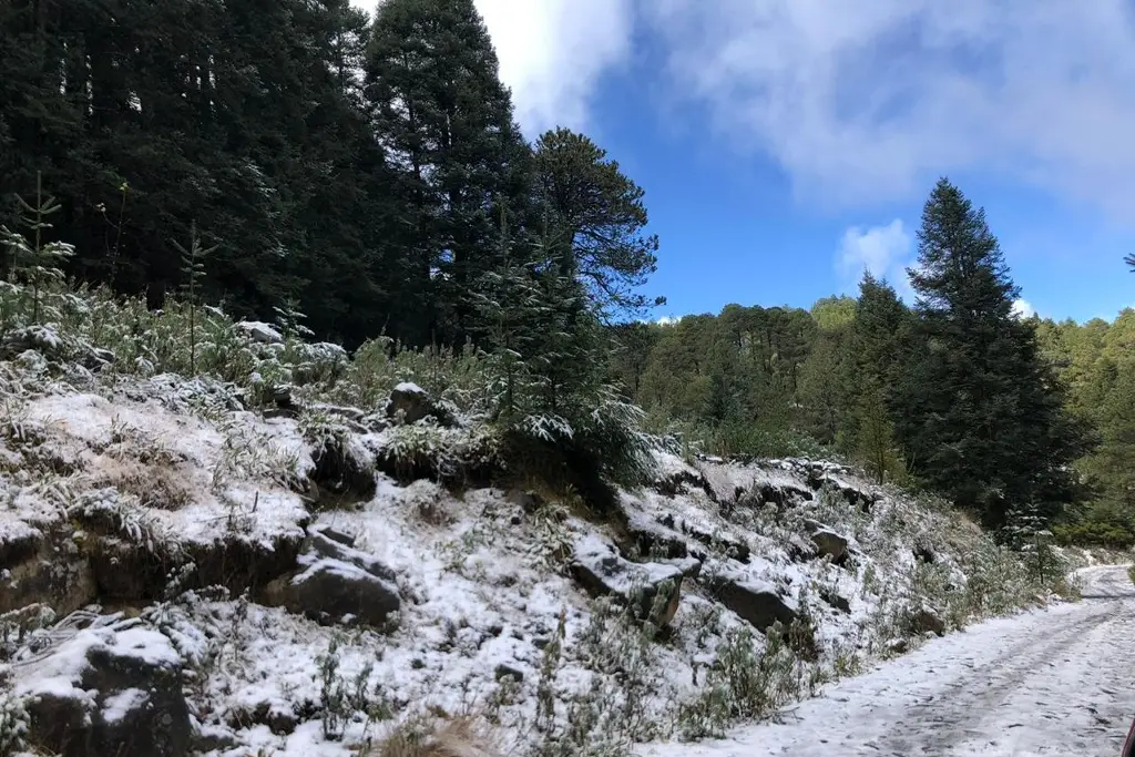 Imagen Se registra nevada en el Cofre de Perote, en Veracruz 