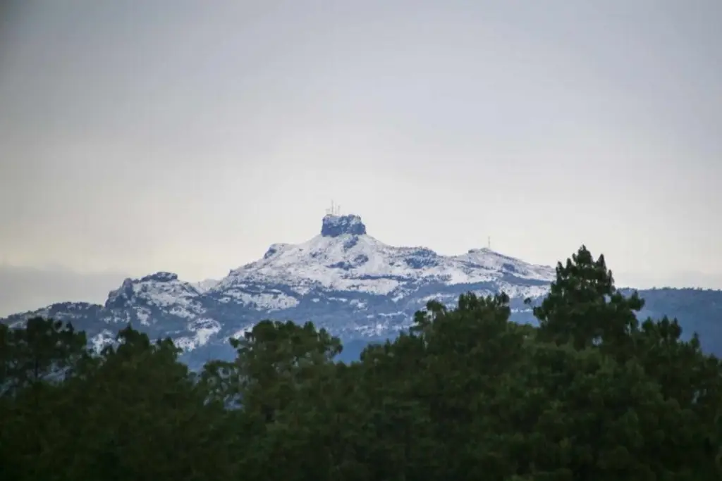 Imagen Tras nevada en Cofre de Perote, Protección Civil alerta riesgos; emite recomendaciones