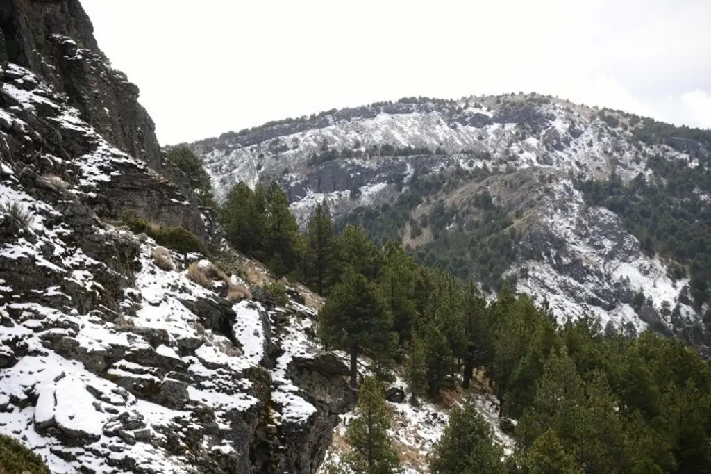 Imagen Rescatan a dos xalapeños extraviados en el Cofre de Perote; fueron a la nevada