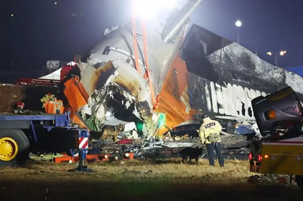 Imagen Papa Francisco muestra cercanía a familias tras accidente aéreo en Corea del Sur 