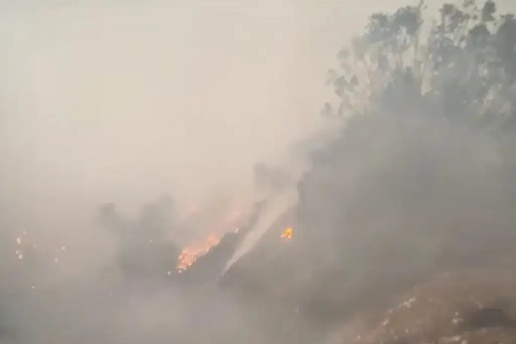 Imagen Sin reporte de personas lesionadas tras incendio en colonia de Veracruz 