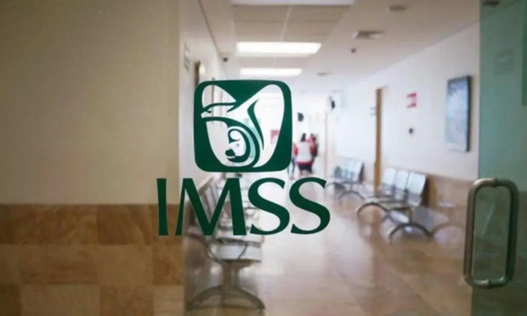 Imagen IMSS Papantla recibe a su primer bebé de 2025