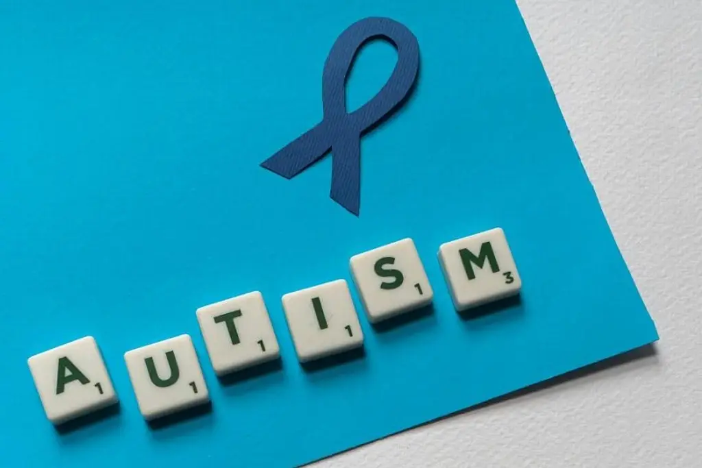 Imagen Reportan aumento en casos de autismo, ¿Cuáles son los signos o síntomas para detectarlo?