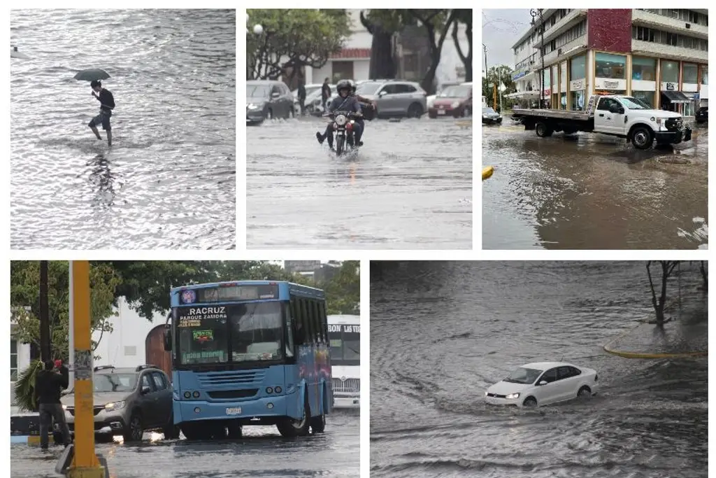 Imagen Fuertes lluvias en Veracruz dejan calles inundadas, choque y placas perdidas