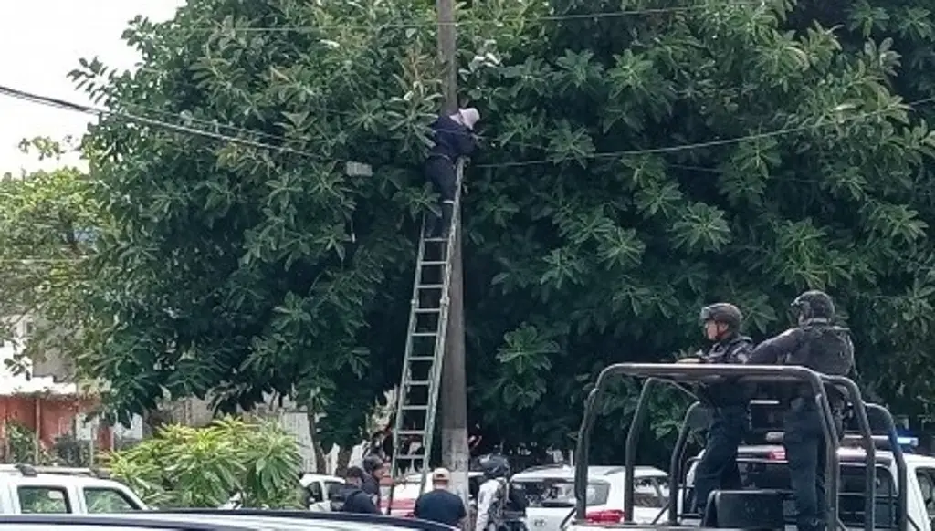 Imagen Retiran cámaras de vigilancia ilegales utilizadas por delincuencia en Coatzacoalcos, Veracruz