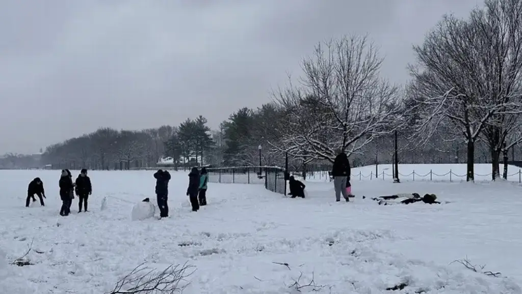 Imagen Tormenta invernal deja nevadas en EU; interrumpen miles de vuelos 