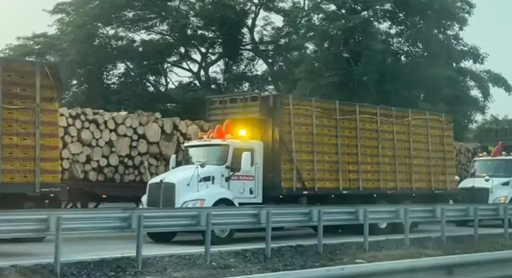 Imagen Se registra cierre parcial de circulación en autopista de Veracruz 