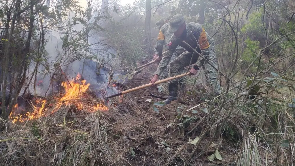 Imagen Aplica Plan DN-III-E, en incendio forestal en Ejido Villa de Perote, sin lesionados