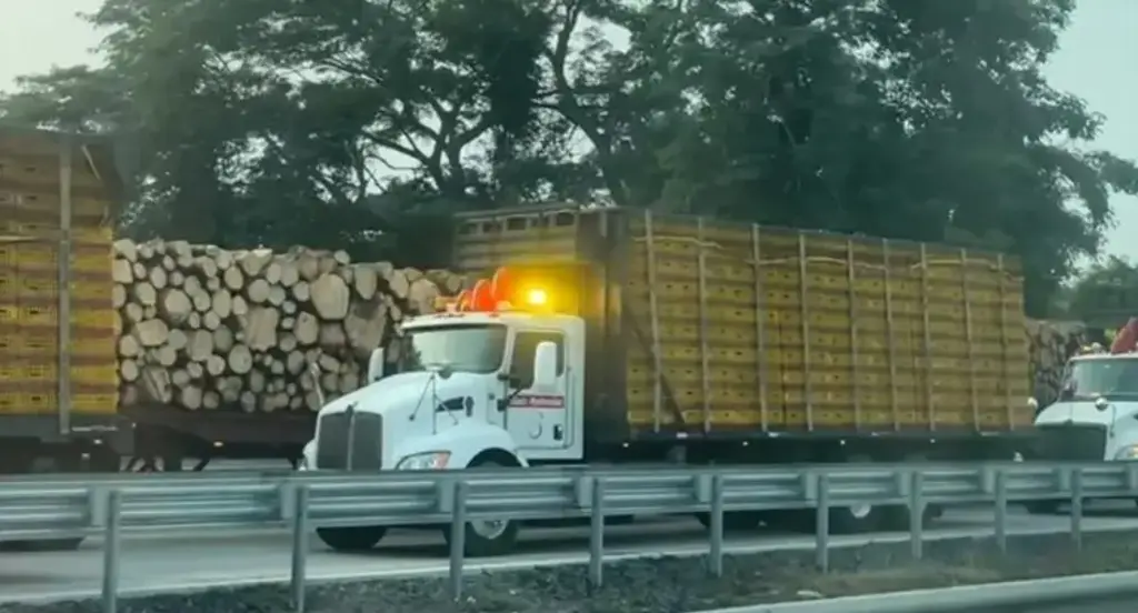 Imagen Tome precauciones, se mantiene el cierre total de circulación en autopista de Veracruz