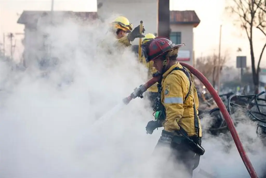 Imagen Gobernador de California invita a Trump a ver los daños dejados por incendios 