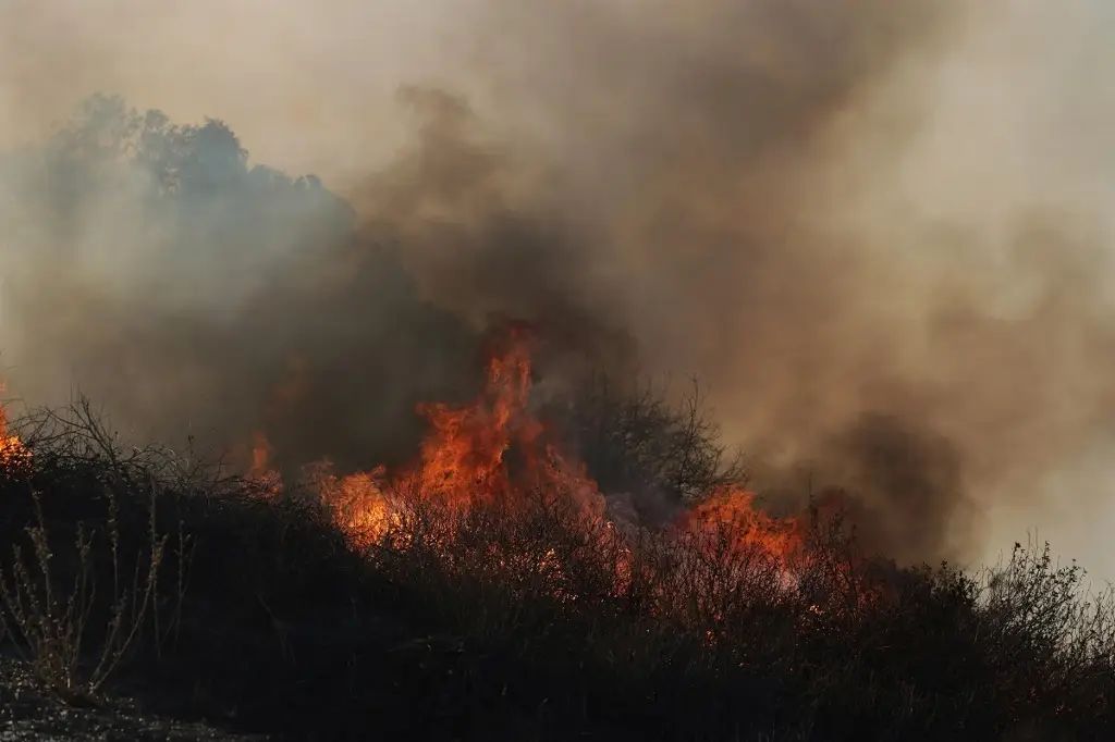 Imagen Papa Francisco expresa su tristeza por las víctimas y destrucción de los incendios en Los Ángeles