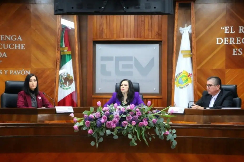 Imagen No se tolerará la violencia de género: nueva Presidenta del Tribunal Electoral de Veracruz