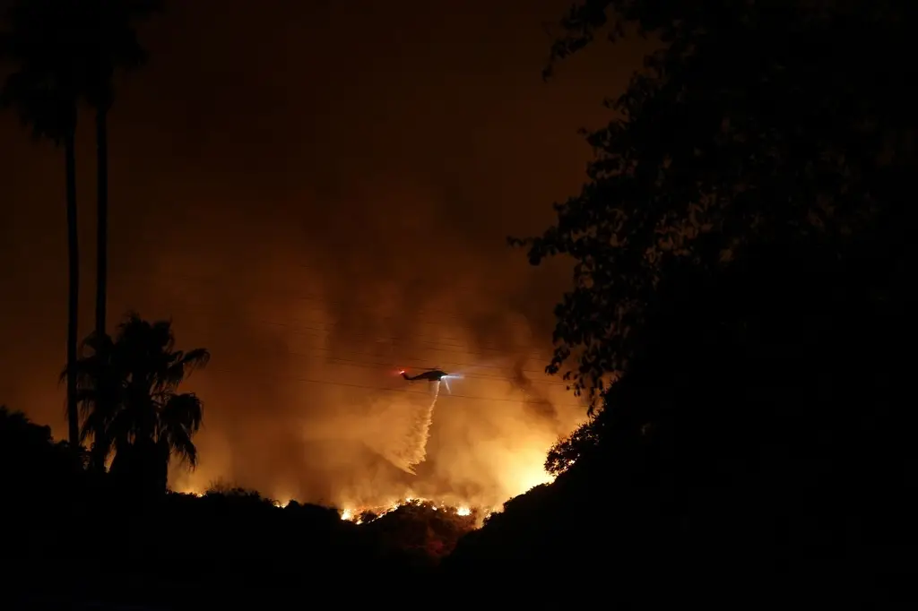 Imagen Ante incendios en Los Ángeles, obispos de México urgen acciones para mitigar afectos del cambio climático