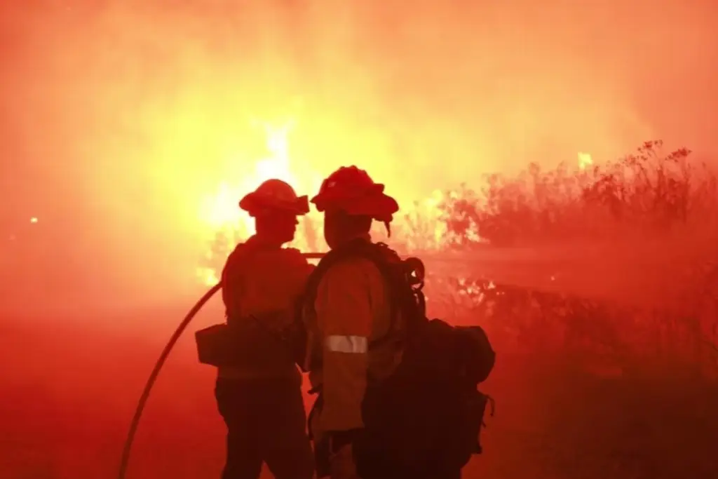 Imagen Trump no ha respondido a invitación para recorrer zona de incendio: gobernador de California