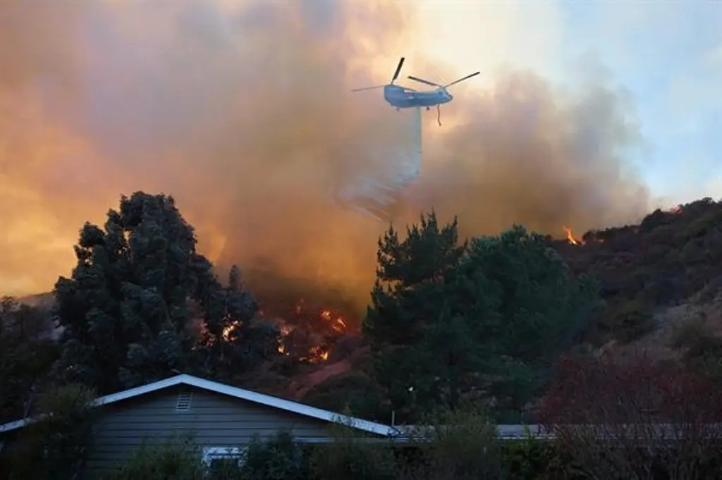 Imagen Reportan 16 personas desaparecidas por incendios en Los Ángeles; cifra podría subir