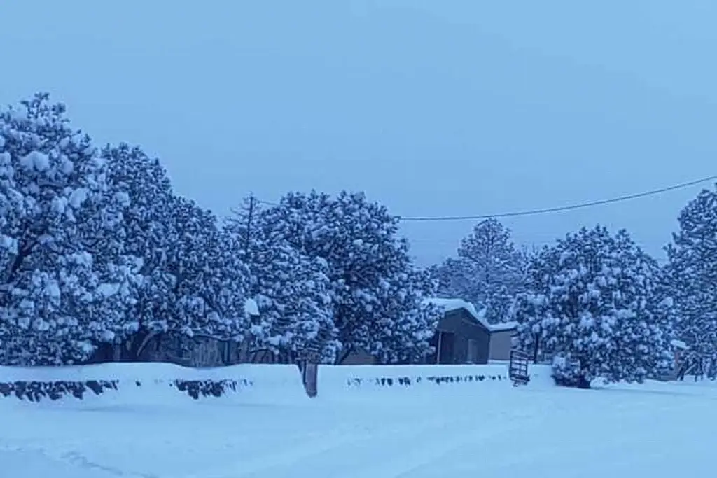 Imagen ¿Suiza? ¿Alaska? ¡No! Es el lugar más frío del país según la Conagua